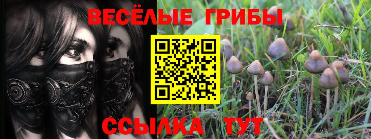 Псилоцибиновые грибы GOLDEN TEACHER Северск